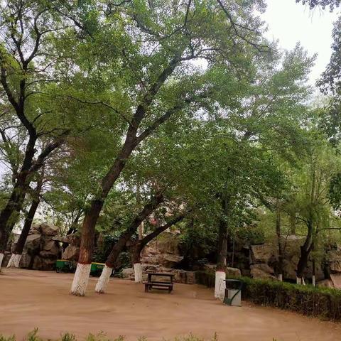 初夏的万柳公园