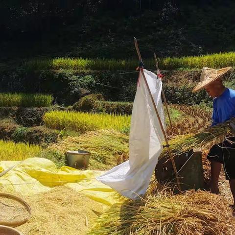 走访两人村