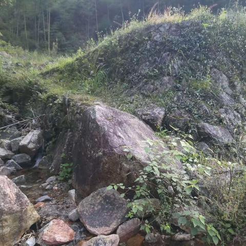 徒步庙金山