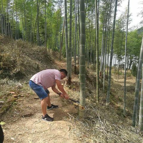 乐游村