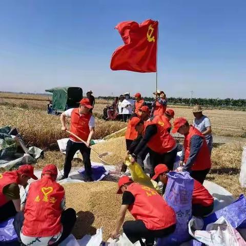 让党旗在三夏生产第一线高高飘扬
