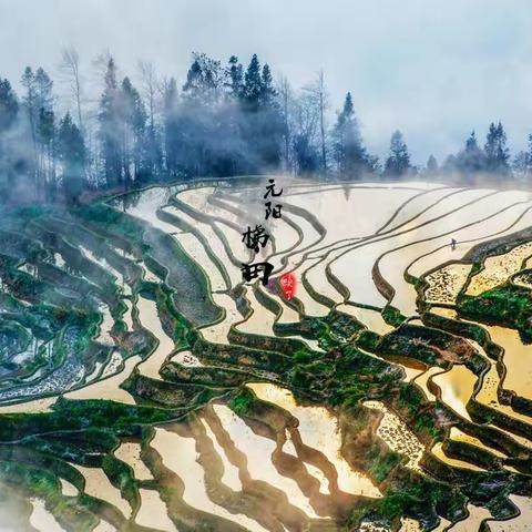 等你，在梯田那头