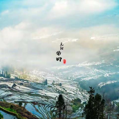 我深深地爱着你，这片多情的土地——元阳梯田掠影
