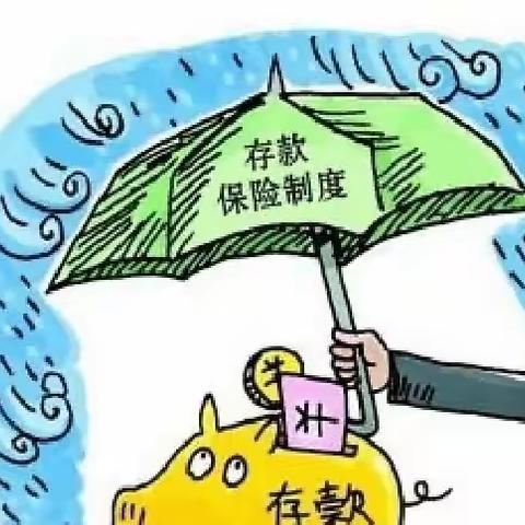 💪存款保险🌈守住您的钱袋子