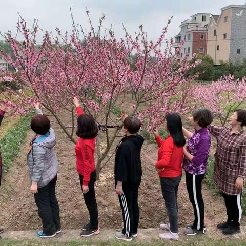 心情日记，快乐星期六！