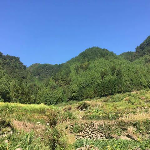 仙居公孟崖一日游