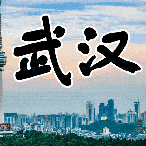 抱歉，以这样的方式认识我……