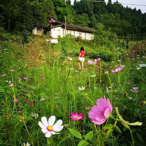 高峡里的平湖
