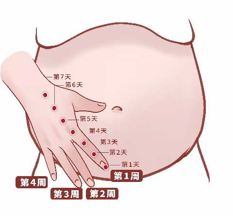 手掌定位法，必须要掌握的胰岛素轮换方法，简单又实用