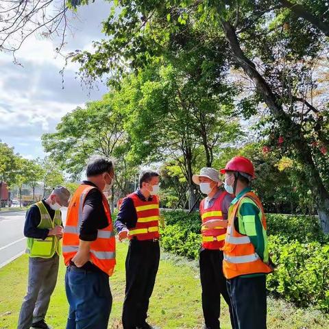 市绿化处二级调研员周旭平同志带队检查市直管绿地疫情防控及防汛备汛等工作