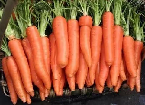 食在天然，育在自然