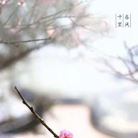 春风十里恰如你