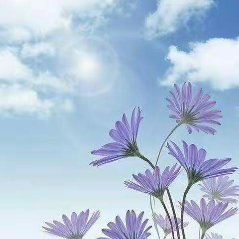 停课不停学，成长不停歇