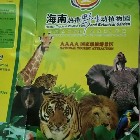 《海南热带野生动物园》第一次这样的与🐍🐨🐮🐎🐸🐯🐻🐘🐒🐑🐺🐗…的近距离接触😊