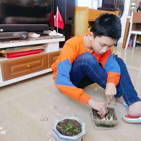 逐梦36德育系列15【扫灰除尘屋明净，劳动教育净心灵】