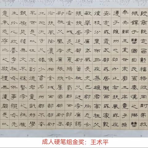 诸城市第三届汉字书写大赛获奖名单新鲜出炉