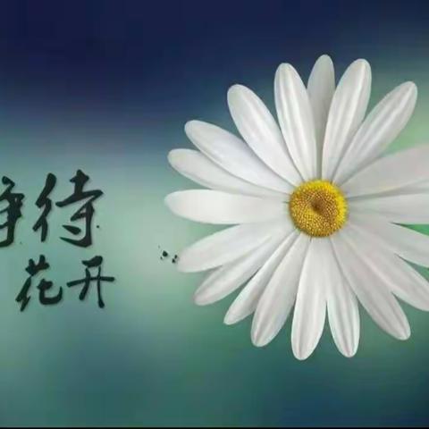 【教育随笔】 与爱同行 静待花开