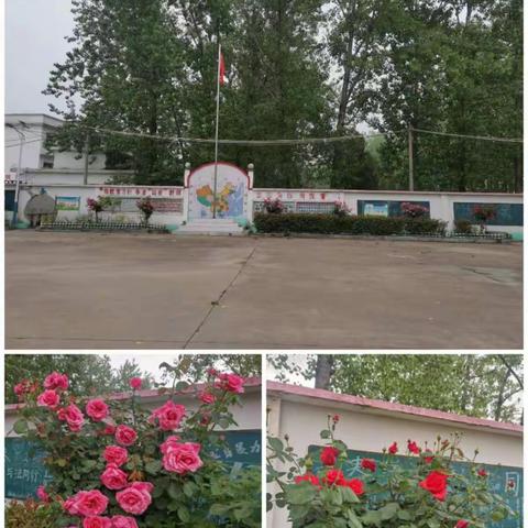 追风赶月为教育　　戮力笃行践初心 　　　　－－记新里中学线上教学第四周工作简报