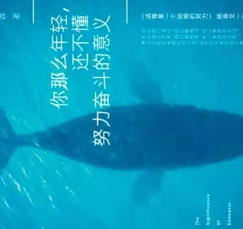 奋斗青春，理想明天