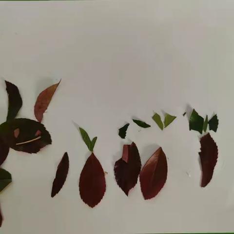 树叶畅想曲（三）