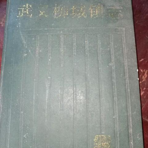 柳城小学2021“你好，寒假”之乡貌章——一（五）班郑金彤活动小记