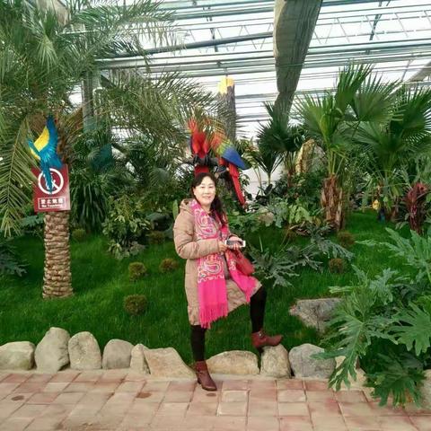 为精彩的人生无怨无悔