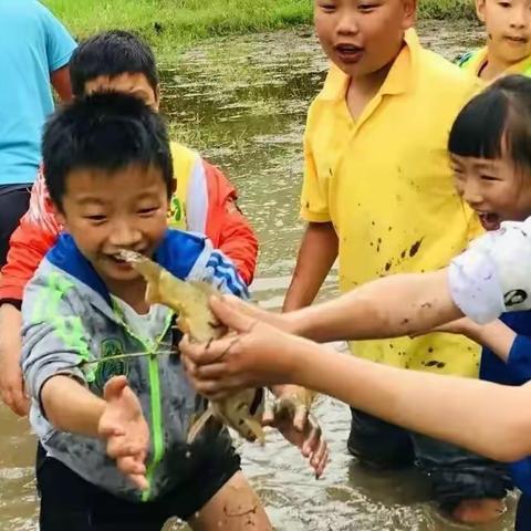 浑水摸鱼——做大自然的孩子