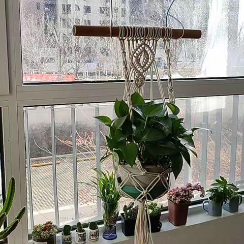 巧手编什物，居家也有趣