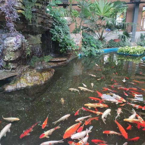 2021年秋季北务中学初二年级社会大课堂活动剪影