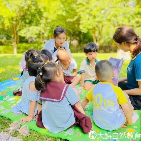 大鲟芭学园的小日常🦋🦋