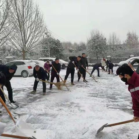 不惧严寒，清扫冰雪暖人心