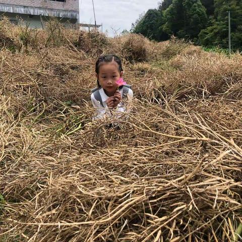 《六一儿童节》妈妈带我走进她的家乡，走进田园，感受大自然。