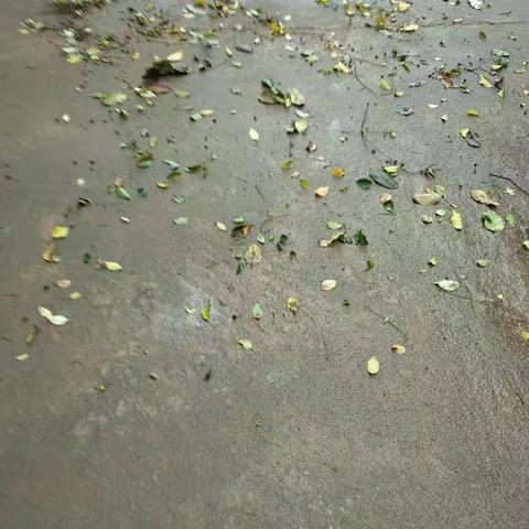 文昌市湖山溪尾小学环境整治情况