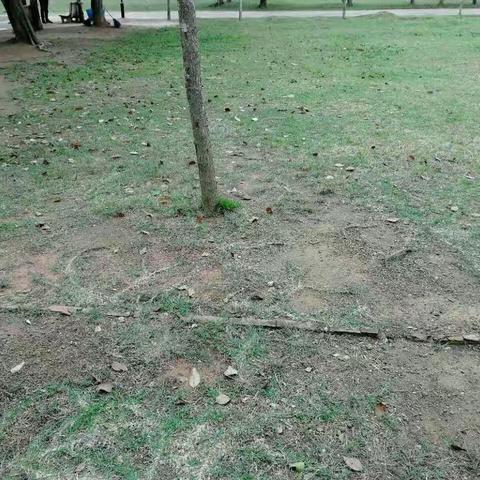 文昌市湖山溪尾小学环境整治情况