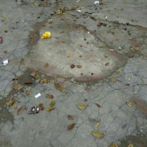 文昌市湖山溪尾小学环境整治情况