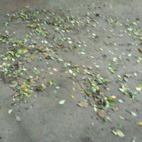 文昌市湖山溪尾小学环境整治情况