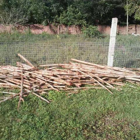 文昌市湖山溪尾小学环境整治情况