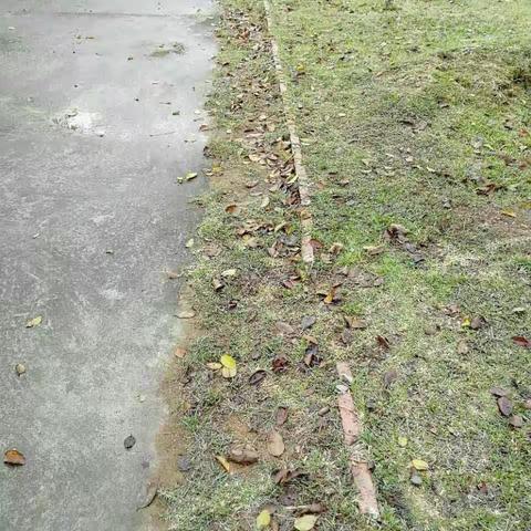 文昌市湖山溪尾小学环境整治情况