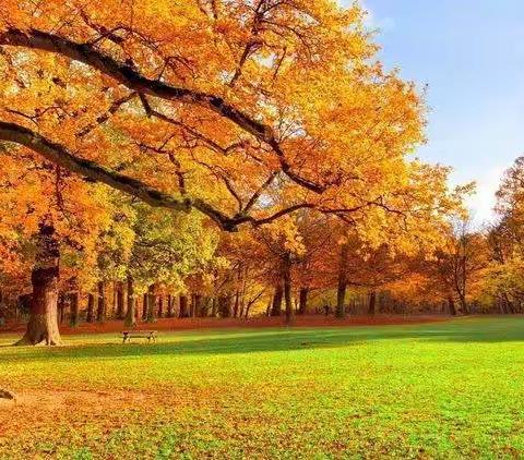 🍁金秋十月，收获的季节🍁——金苹果幼儿园大一班最美时光篇