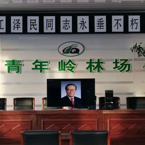 青年岭林场党员干部职工群众开展悼念活动——深切缅怀江泽民同志