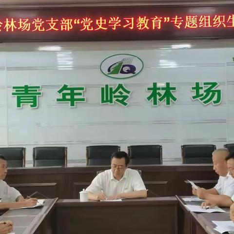 青年岭林场党支部召开“党史学习教育”专题组织生活会