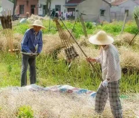 梿枷声声，拨动儿时的记忆