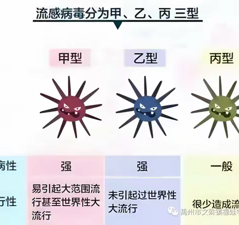 预防甲流 守护健康 一一甲流知识宣传