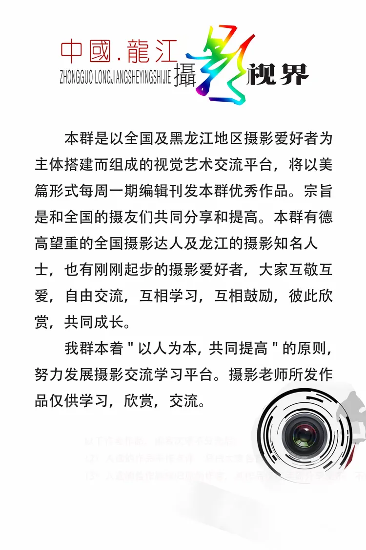 摄影师（闲云）作品展【中国•龙江摄影视界】‖群芳谱‖专刊⑩