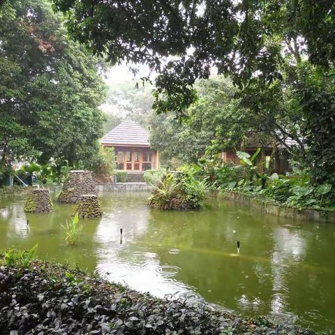 雨中漫步开心农场