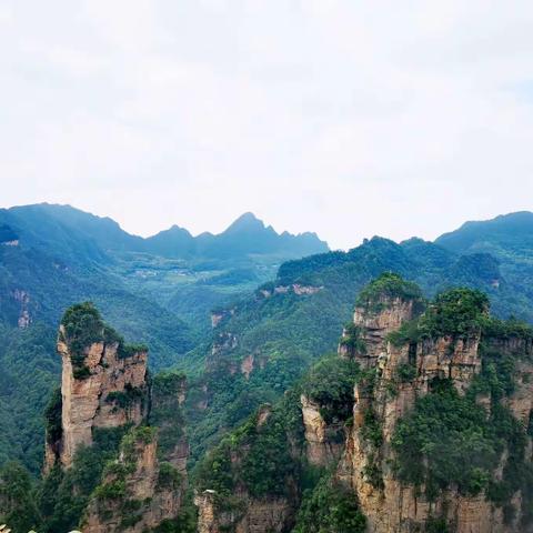 人间仙景—张家界