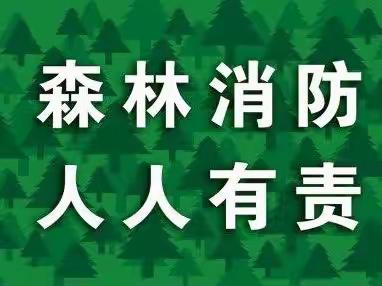 森林防火 人人有责—沂河路幼儿园森林防火宣传