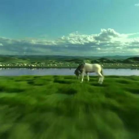 美丽的草原我的家