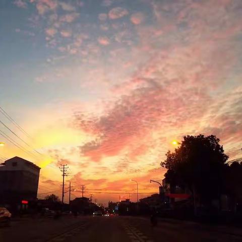 不负韶华逐梦想——春晗学校新教师教学心得交流分享