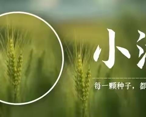 “小满小满，幸福满满”——【金果🍒幼育】二十四节气之小满